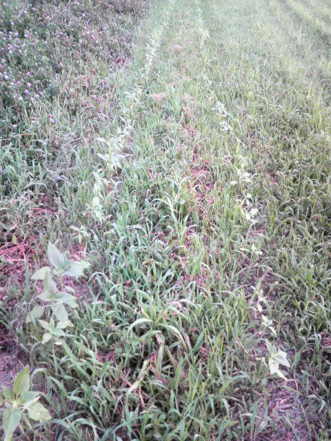 �q�}����