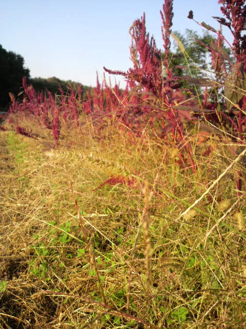 �A�}�����T�X