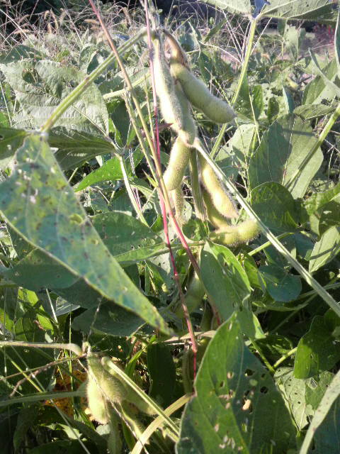 �哤�Y�[���A�b�v