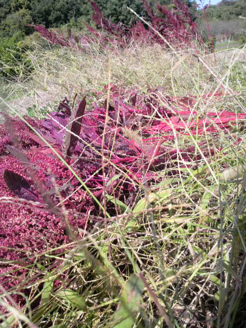 �A�}�����T�X���n��