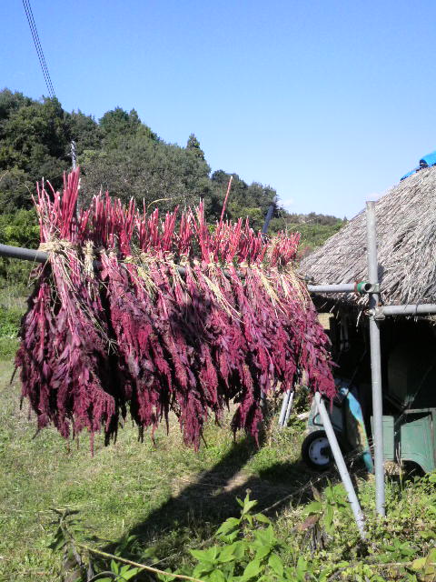 �A�}�����T�X���n�U�|��