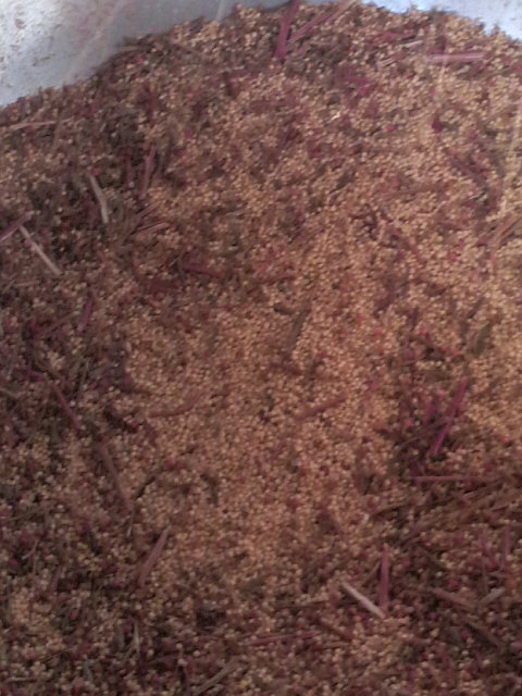 �E�������A�}�����T�X