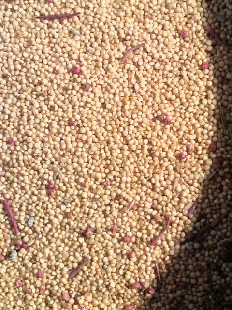 ������x���I