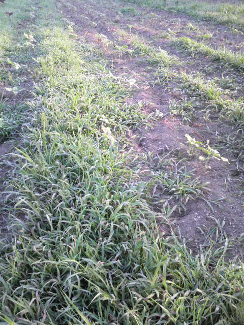 �q�}����