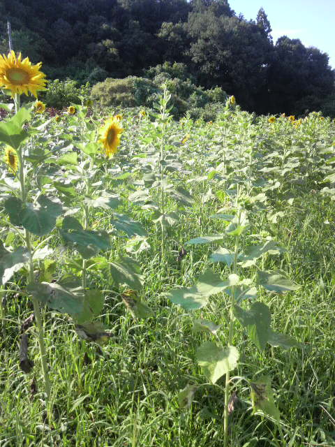 �q�}����