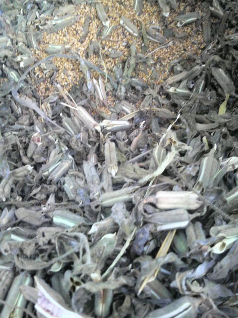 �E�������S�}