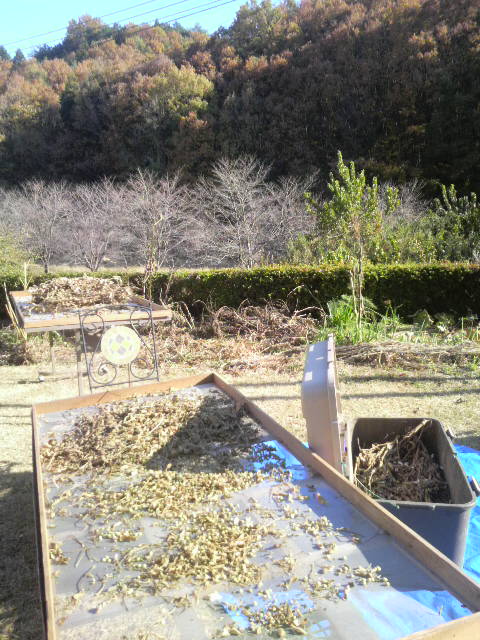 �����ƒE��