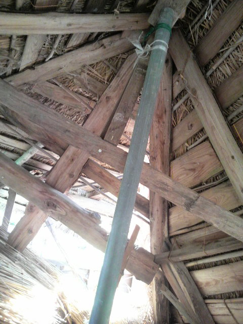 �����O�ꂽ����