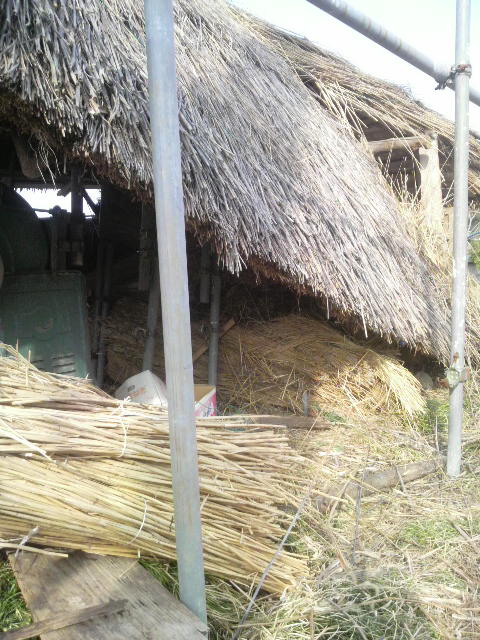 ���̐�[��1m���オ����