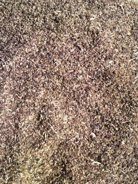 ������������ƃ��~�K��