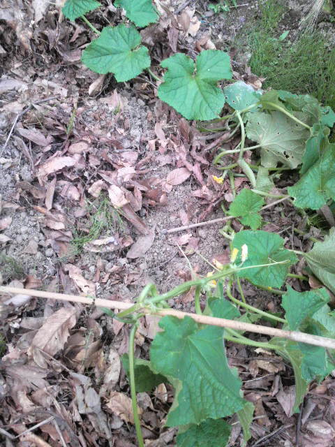 �A�i�O�}���~�~�Y���@������