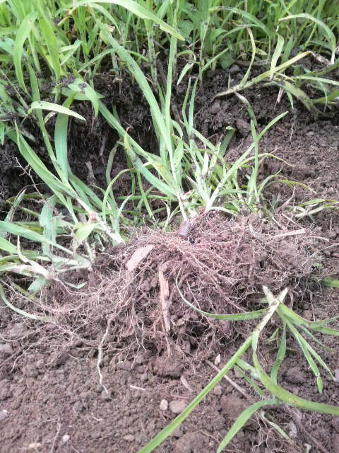 �������т�