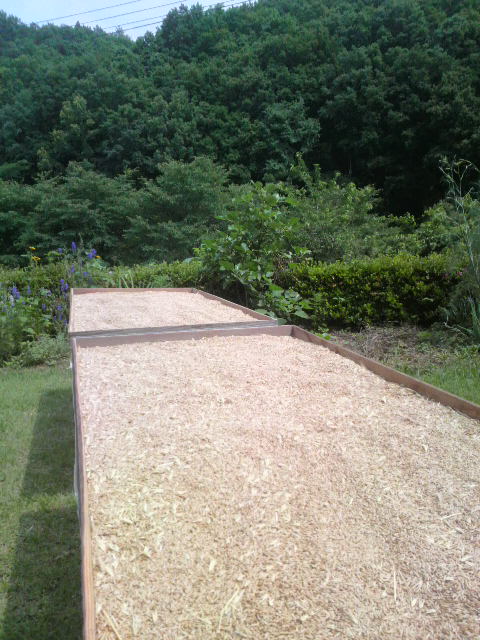 �V��������