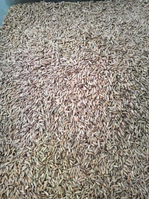 ���C������