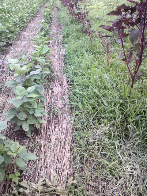 �哤���ƒ�������l�����A�}�����T�X