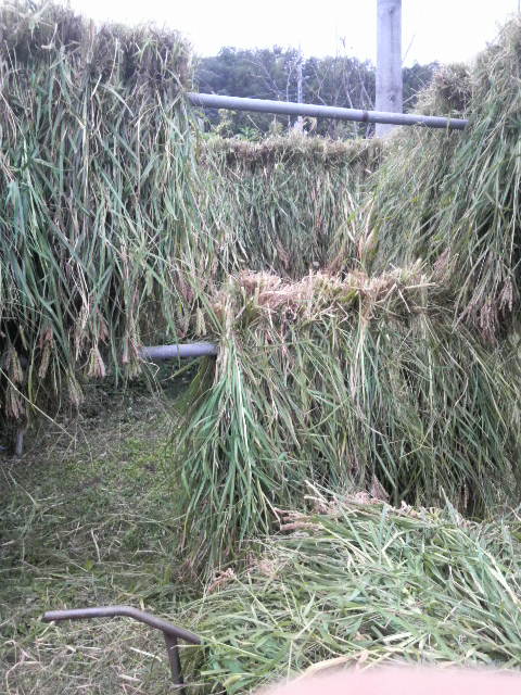 �V�R�N�r�G���n�U�|��