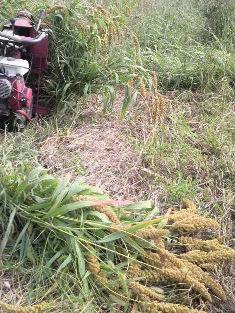 �A���������