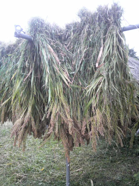 �L�r���n�U�|��