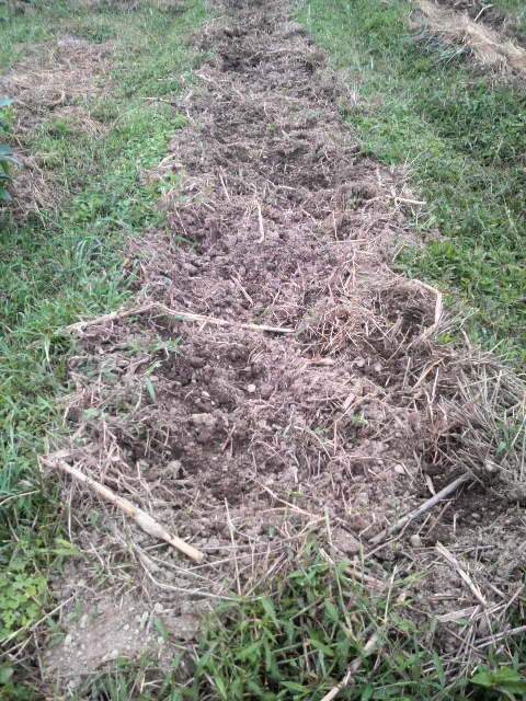 �L���E����